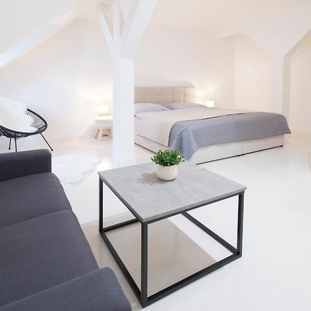 Apartamento Apartmán Jungmann U Zlaté hvězdy Litoměřice Exterior foto