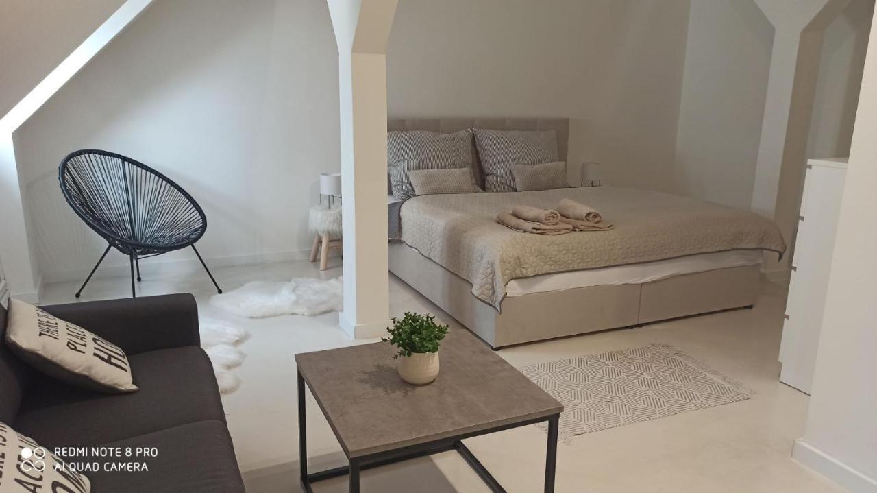 Apartamento Apartmán Jungmann U Zlaté hvězdy Litoměřice Exterior foto